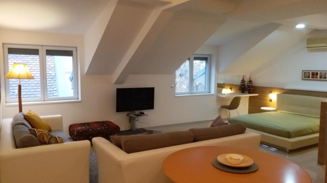 Centar Lux Vrsac Διαμέρισμα Εξωτερικό φωτογραφία